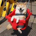 야!!!!!