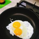 <b>쌍란</b> 나왔다! 행운 받아가~