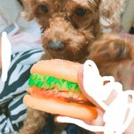 [EXO] 울딥강아지좀<b>보삼</b>