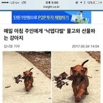 나 말투<b>그지</b>같냥..