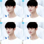[프로듀스] 객관적으로 배진영 데뷔 가능성 얼마 정도냐..