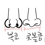 [드루와] <b>복코</b>가나아, 콧볼큰게나아? 추반해주고강!!!!!