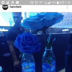 [EXO] 라이트세이버 꽃 생화인가봐