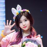 이번 트와 뮤비봤는데 결국 <b>에리</b>가 설레발친거아님?