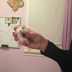 얘두랑 좋은 노래 추천 <b>해동</b>