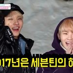 [세븐틴] 캐럿들