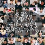 [프듀2] 일요일에 투표 끝인데 한번만 살려주라..
