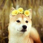 나 카스썰 시초<b>자임</b> ㅋㅋㅋㅋㅋㅋㅋㅋ