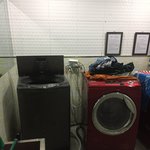 [조언부탁해] <b>속옷</b>을 도둑 맞았어요. 도와주세요.
