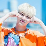 [세븐틴] 아니 디패 홈마있냐