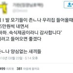 [드루와] 머랭쿠키 <b>asmr</b>개좋지않냐