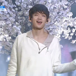 [프로듀스] 아 미친 도랏<b>맨</b>ㅋㅋㅋㅋㅋㅋㅋ켄타 <b>손</b>좀봐