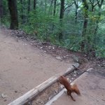 [방탄소년단] 굥기랑 홀ㄹㅣ 여기 함지산