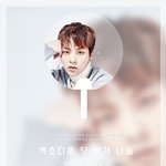 [EXO] 현재 투명<b>부채</b> 나눔 이게 원탑인듯