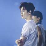 [EXO] 이 사진 보고 거울 보지 마라