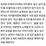 [세븐틴] ???