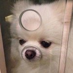 [댓글부탁해] 친구가 내 이름만 딱딱하게 페북 <b>한소</b>해놈