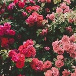 쇼핑몰에서 <b>옷</b>산사람들아