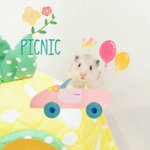 햄스터 핑구랑 티파티했어요~!