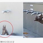 [콜로라도] <b>대구</b> 청솔모 클라스.jpg