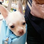 콩이,  기분 좋아졌어~♬