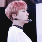 [방탄소년단] 호비호비