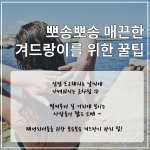 점점 더워지는 날씨~ 보송한 겨드랑이로 관리하는 <b>TIP</b>