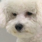 [드루와] 짝남이오늘내겨<b>털</b>봄;ㅋㅋㅋㄱㄲ