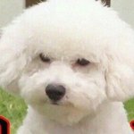 [드루와] 나만 투쿨포<b>스쿨</b> 들어가기 무서움..?ㅋㅋㅋㅋㅋㅋㅋㅋㅋㅋㅋㅋ