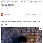 [VIXX] (욕주의) 우리 또 <b>표절</b>당함?