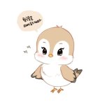 [시우민] 시우밍 참새를 보셨나여?>.<?