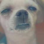 [드루와] 무<b>쌍들</b> 화장 팁 공유하자