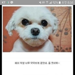 [드루와] 나 뭐 <b>신청</b>하느라 선생님이 사진 찍어주셨는데