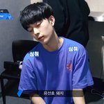 [프듀2] 유선호 돼지