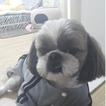 우리집대장