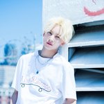 [세븐틴] 디스패치 일냈네