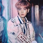 [백현] CBX <b>JAPAN</b> 클리어파일 스캔본 #백현