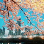 나 중3과학 1,2 <b>단원</b> 이번에 배우는데