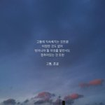 나 왕딴데 집 쫒겨났어 도와줘
