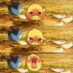 [드루와] <b>짝남</b>이 나보고 ㄱㅐ못생겼대..ㅋ