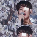 [프로듀스] 배진영 <b>정도</b>면