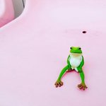 시험 잘쳐도 <b>마냥</b> 좋기만 한건 아니다