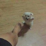 전에 좋아했던 전짝남 진짜죽이고싶다