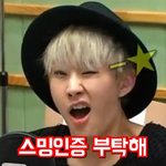 [세븐틴] <b>똥손</b>으로 만들어봤어