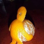 사랑에 관한 명언 1