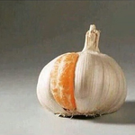 사랑에 관한 <b>명언</b> 10[완]