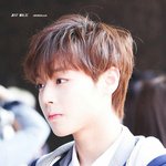 [프듀2] 아 내 동생 박지훈 닮은듯