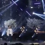 배진영 머리크기 <b>실감</b>짤이래
