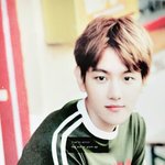 [EXO] <b>배사</b>추천