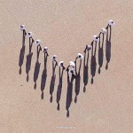 [세븐틴] @@ㅇㅌㅌ글 의견!! 꼭읽어줘@@